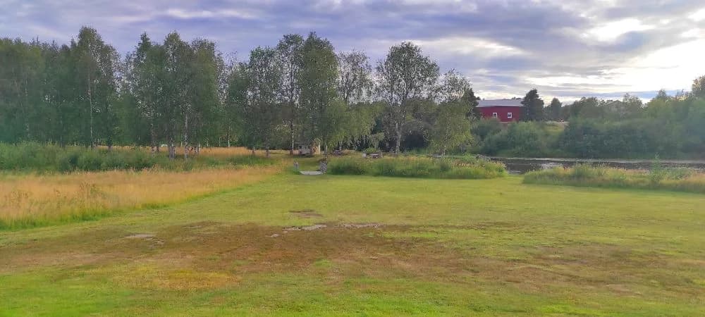 En vidsträckt äng med grönt gräs, omgiven av några träd och buskar på Sangis Motell och Camping.