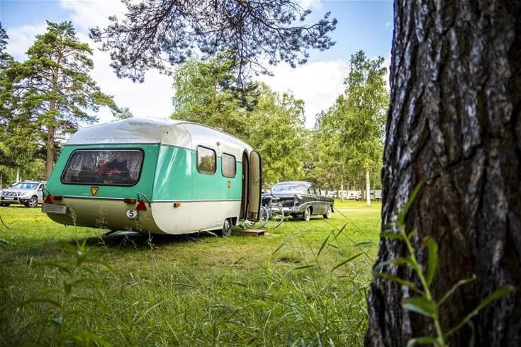 En husvagn och husbil står parkerade på en öppet grönområde med träd i bakgrunden vid Älvdalens camping på en solig dag.