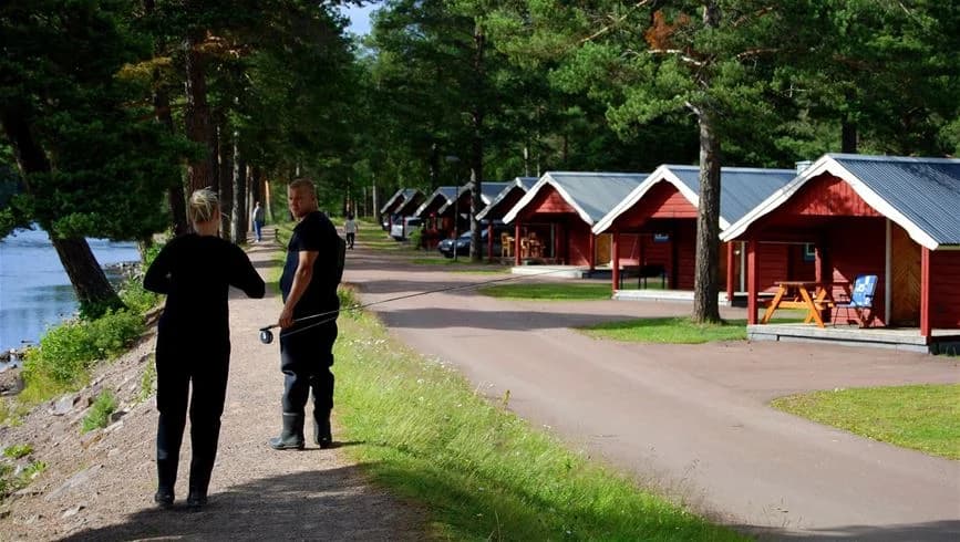 En rustik timmerstuga omgiven av grönskande natur vid Älvdalens camping.