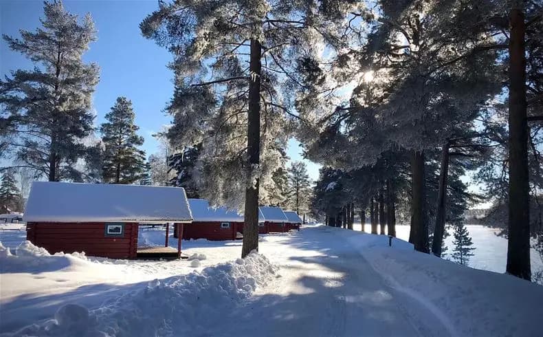 En timmerstuga täckt av snö, omgiven av vinterlandskap med snötyngda grenar, på Älvdalens camping.