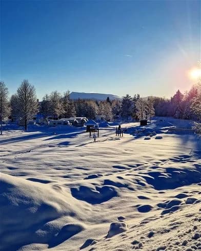 En vinterlandskap med snöklädda grenar under en klarblå himmel på Hede Camping. Solen strålar genom morgonhimlen och skapar en fridfull och kall atmosfär.