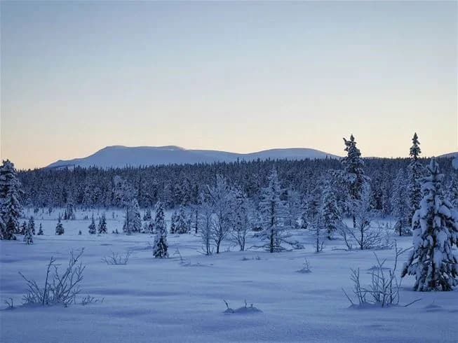 Bilden visar ett snöklätt bergslandskap vid Hede Camping, omgivet av vidsträckt vildmark under vintern. Berg och slänter täckta av frusen snö skapar en kylig och storslagen naturupplevelse.