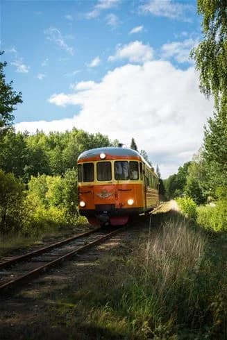 Ett passagerartåg kör genom ett naturskönt landskap nära Långsjön stugor & camping, omgiven av frodig grönska och växtlighet.