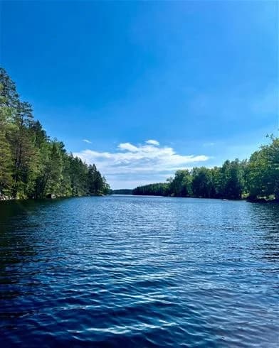 En lugn blå sjö omgiven av grönska under en solig sommardag, perfekt för friluftsaktiviteter vid Långsjön Stugor & Camping.