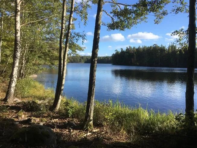 En fridfull sjö med blått vatten omgiven av natur och vildmark, med en strandkant som ger en känsla av lugn och ro. Perfekt för camping och rekreation.