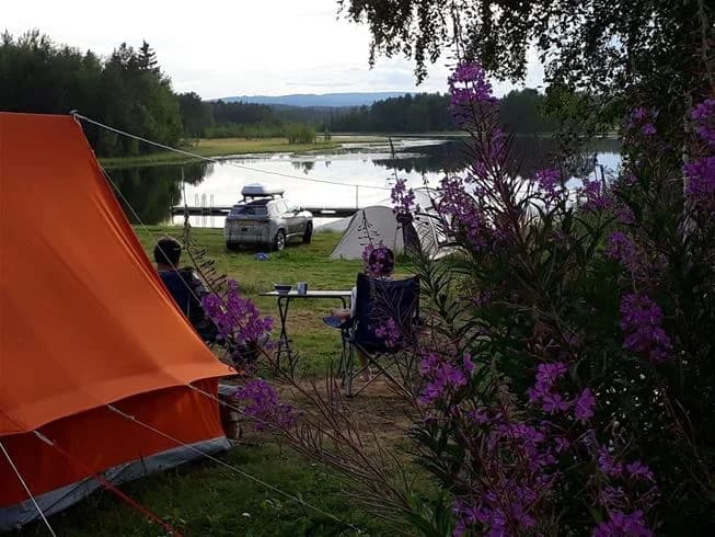 En grönskande campingplats vid en lugn sjö, omgiven av tält och frodig växtlighet, vid Sonfjällscampen.