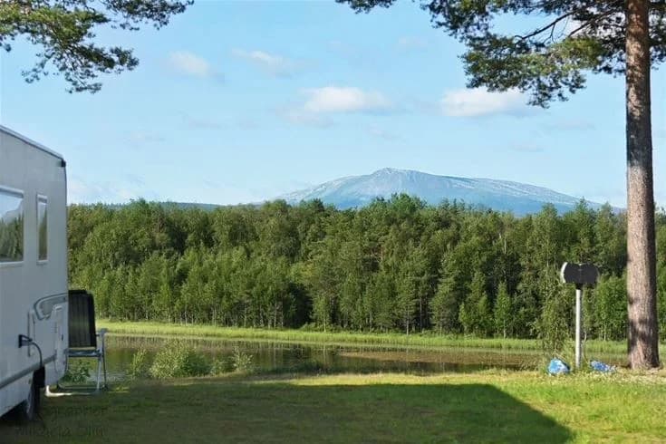 En vidsträckt grässlätt omgiven av träd och skog under en klarblå himmel, typisk för det natursköna landskapet runt Sonfjällscampen.