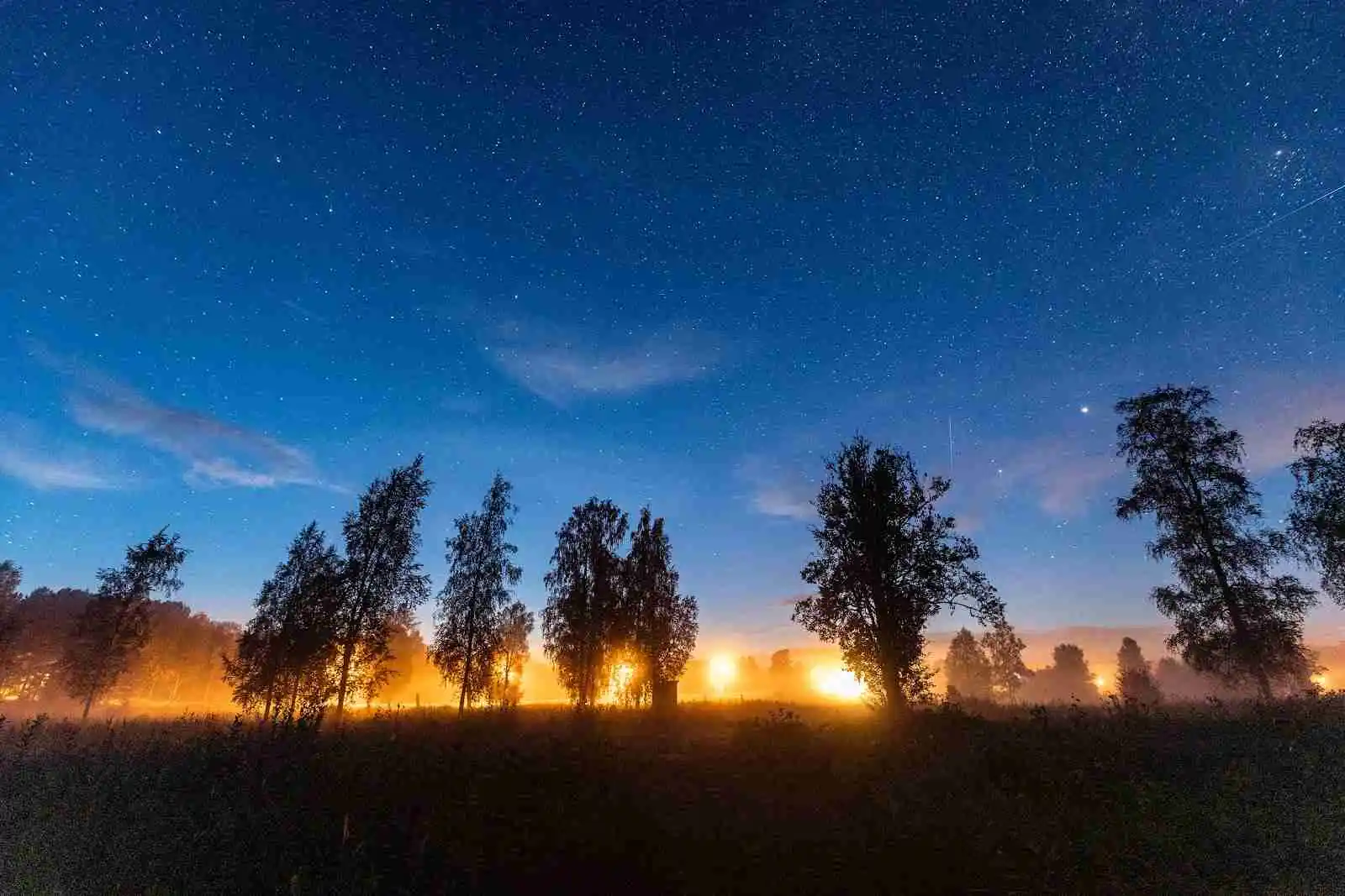 En naturskön vy över Sörälgens camping där himlen är blå med stjärnor synliga i skymningen, omgiven av silhuetterna av trädgrenar.