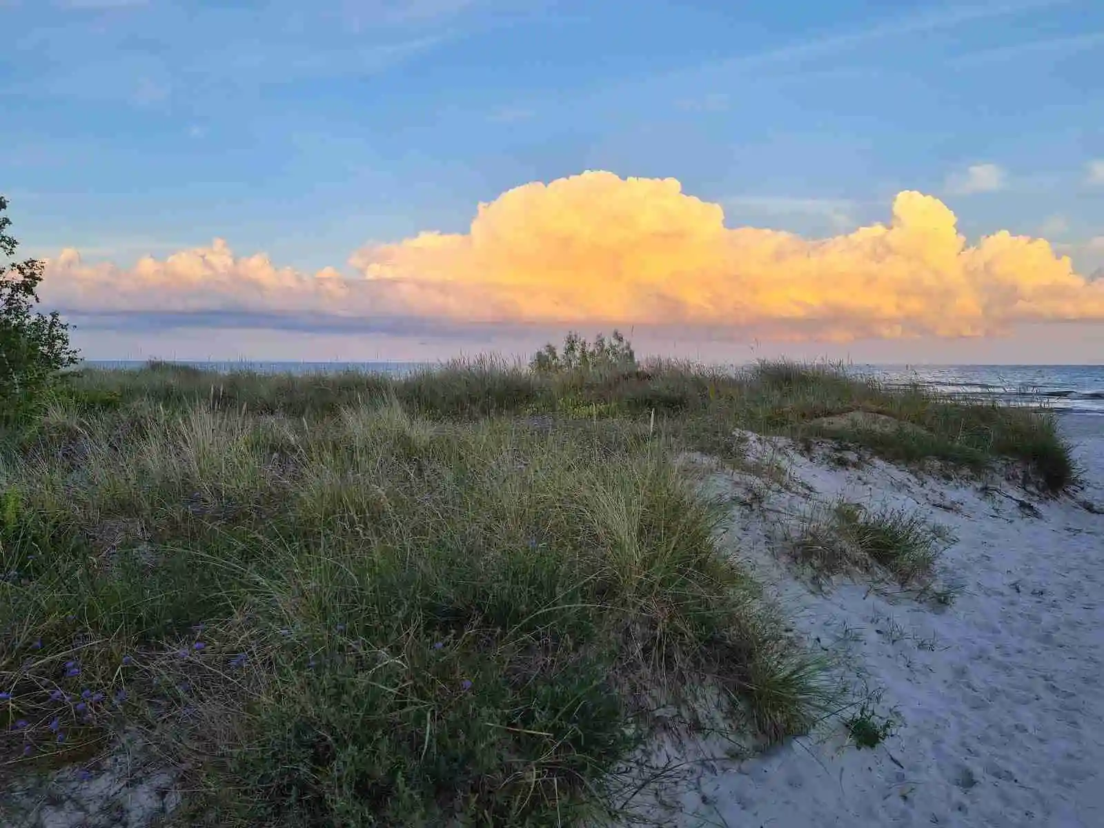 En naturskön kustlinje vid Bingsmarkens camping med en klar blå himmel och ett vidsträckt horisontlandskap i skymningsljus.