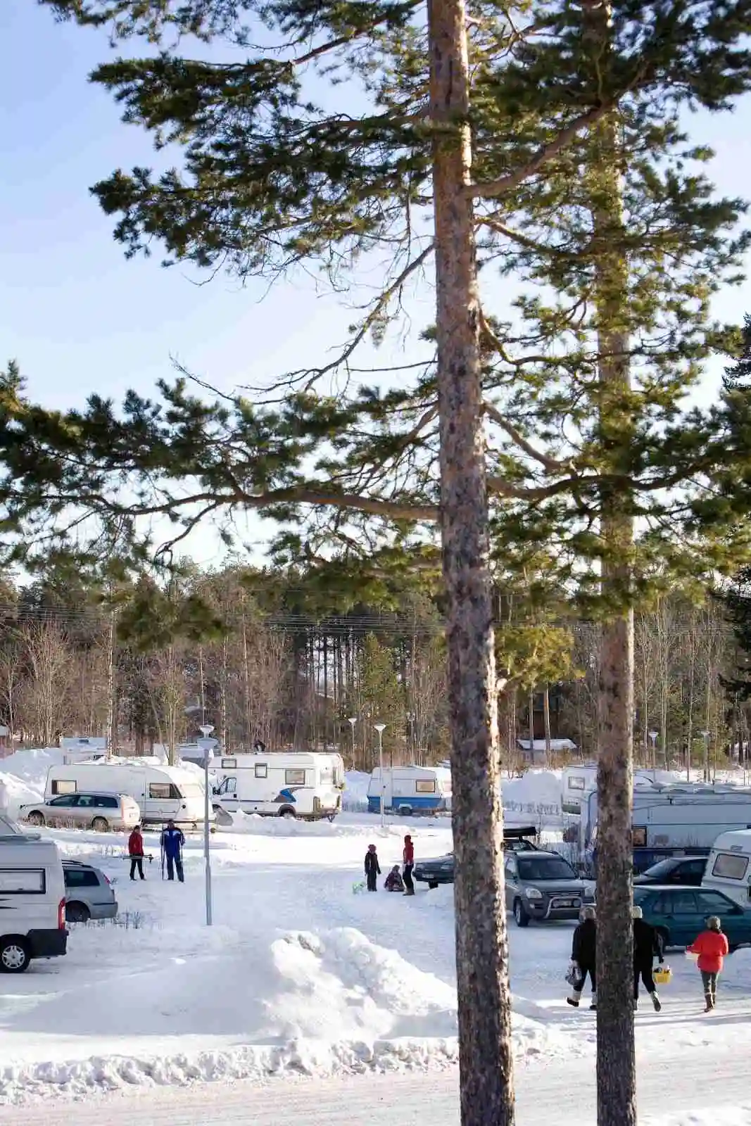 En snöig vinterdag på Östersunds camping med snötäckta träd och en parkeringsplats. Evergreens och lärkträd täckta av frost.