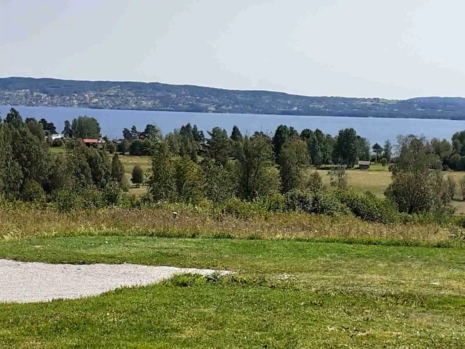 En bred vy över det svenska jordbrukslandskapet vid Vikarbygården, med en klar blå himmel ovan en vidsträckt grön äng och ett öppet fält som sträcker sig mot horisonten.