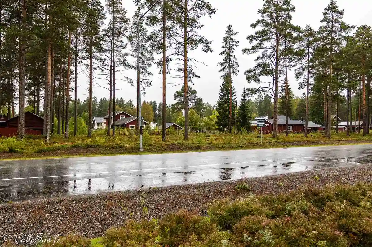 En somrig campingplats i Skellefteå omgiven av höga träd och tät barrskog. Små stugor är utspridda på det grönskande området, omgivet av lummiga lärk- och granträd.