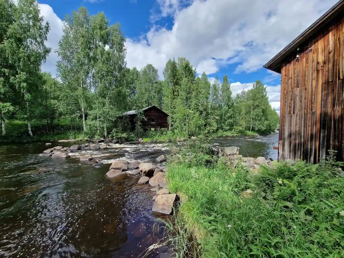 En mysig liten stuga omgiven av tät granskog vid kanten av en porlande bäck, belägen i det avskilda och natursköna området hos Wildlife Sweden Camp Ängra.
