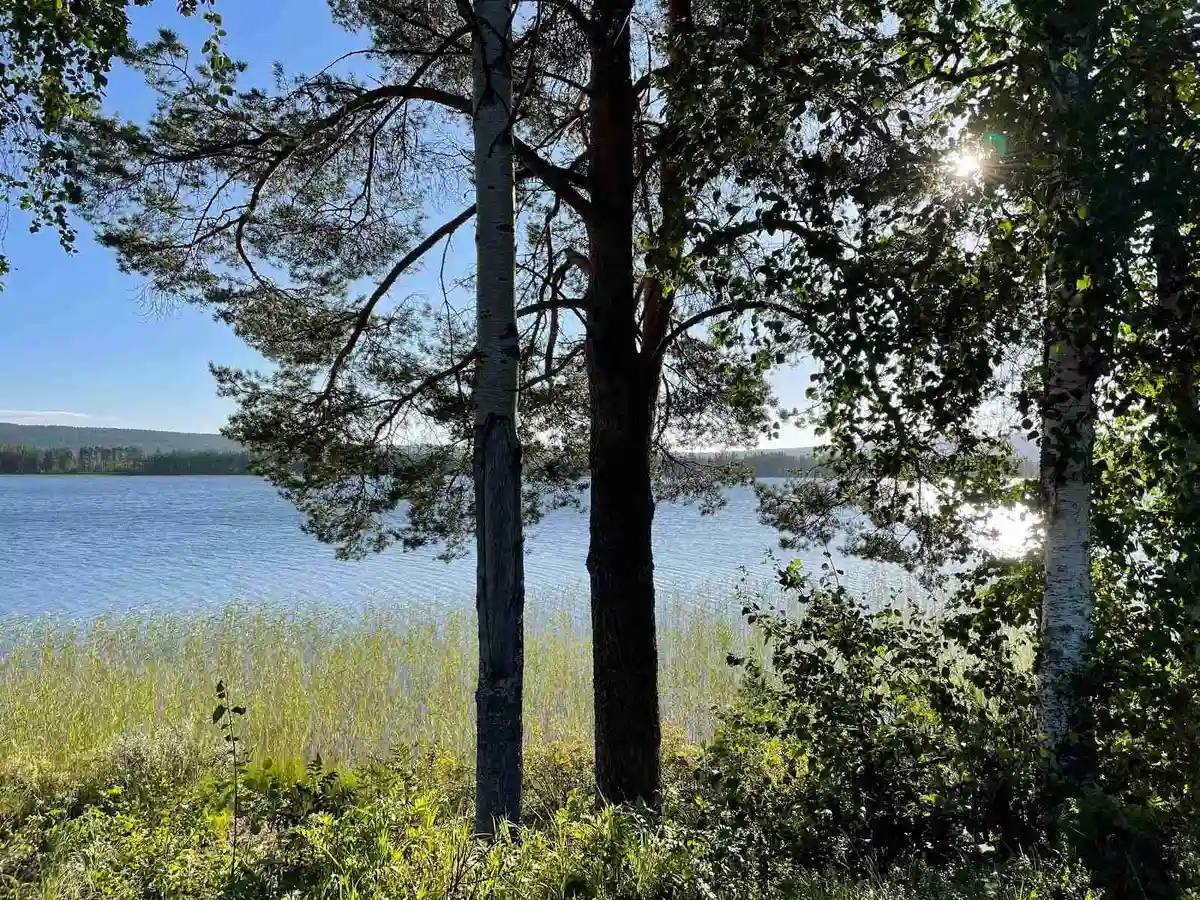 En rofylld bild av Trollforsen Camping & Stugby som visar en klarblå himmel och glittrande vatten omgivna av frodig grönska och lummig vegetation, vilket ger en känsla av stillsam natur och avkoppling.