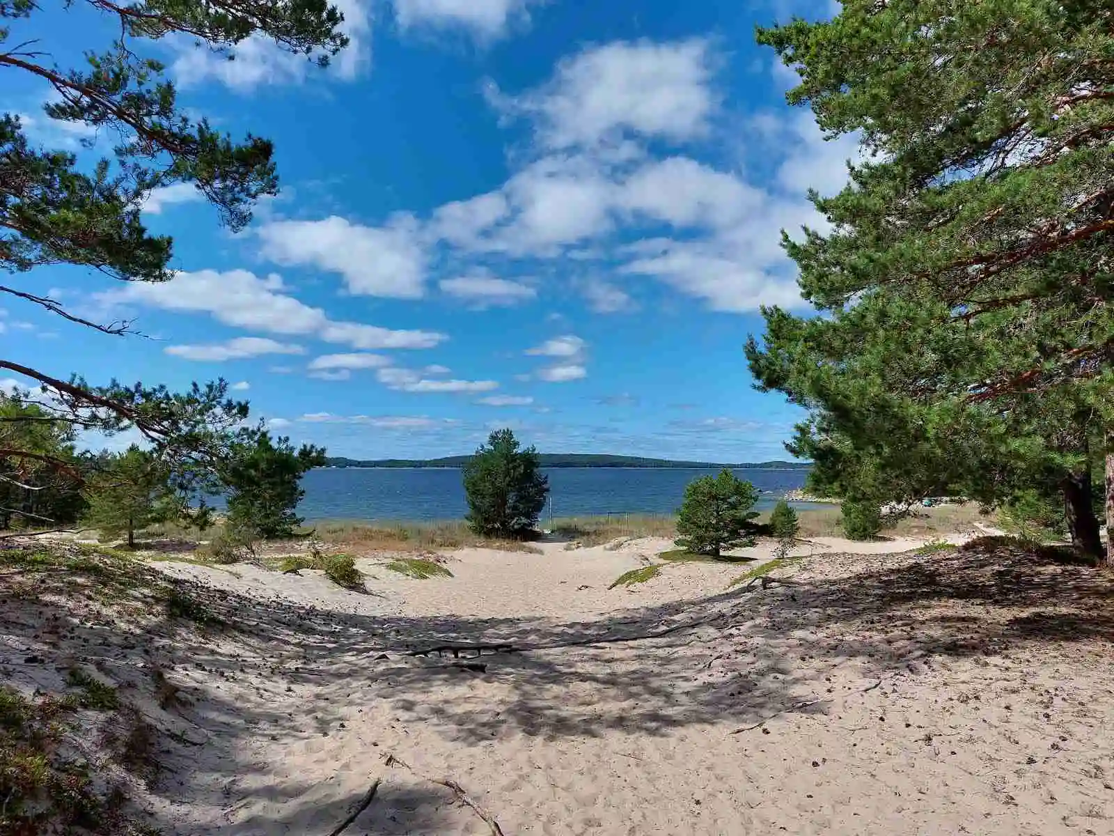 Bild av Hölick Havsresort: En naturskön miljö med gröna träd, en kustlinje och sandstrand som sträcker sig längs havet, perfekt för sommaraktiviteter.