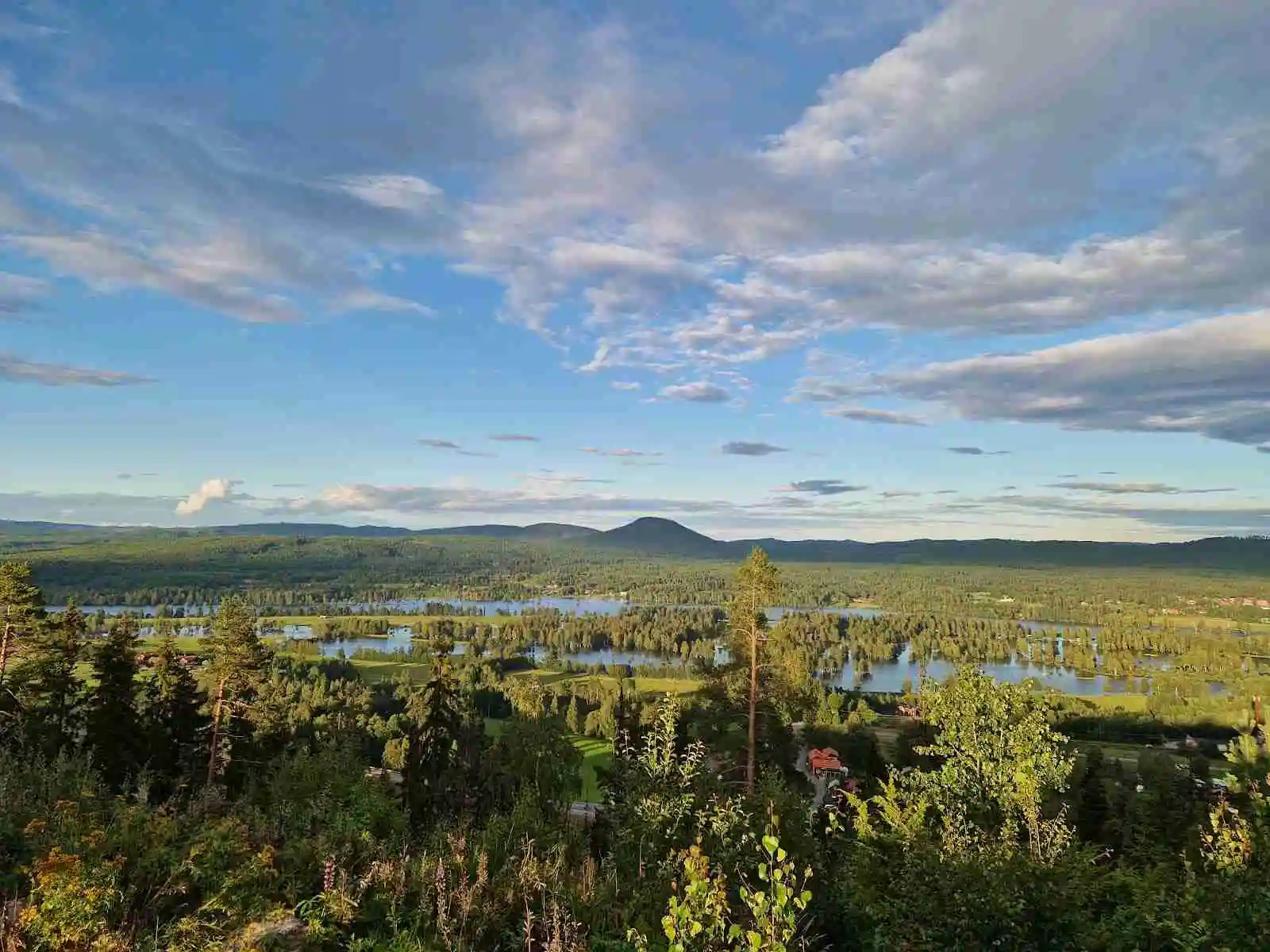 Vy över Järvsö Bergscamping med grönskande kullar och molnig himmel i bakgrunden, omgiven av natur och våtmark.