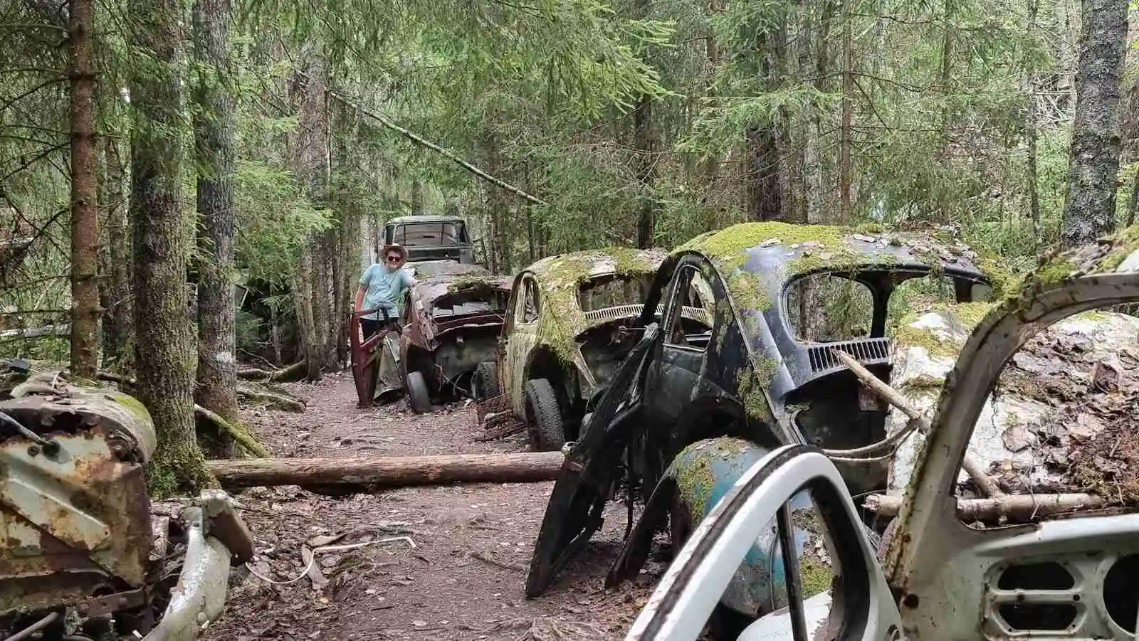 En naturlig skogsbild med tät vegetation och träd. I förgrunden syns ett rostigt föremål i skogen. Känslan av en vild och orörd miljö, typisk för camping och kanotverksamhet i en lummig naturmiljö.