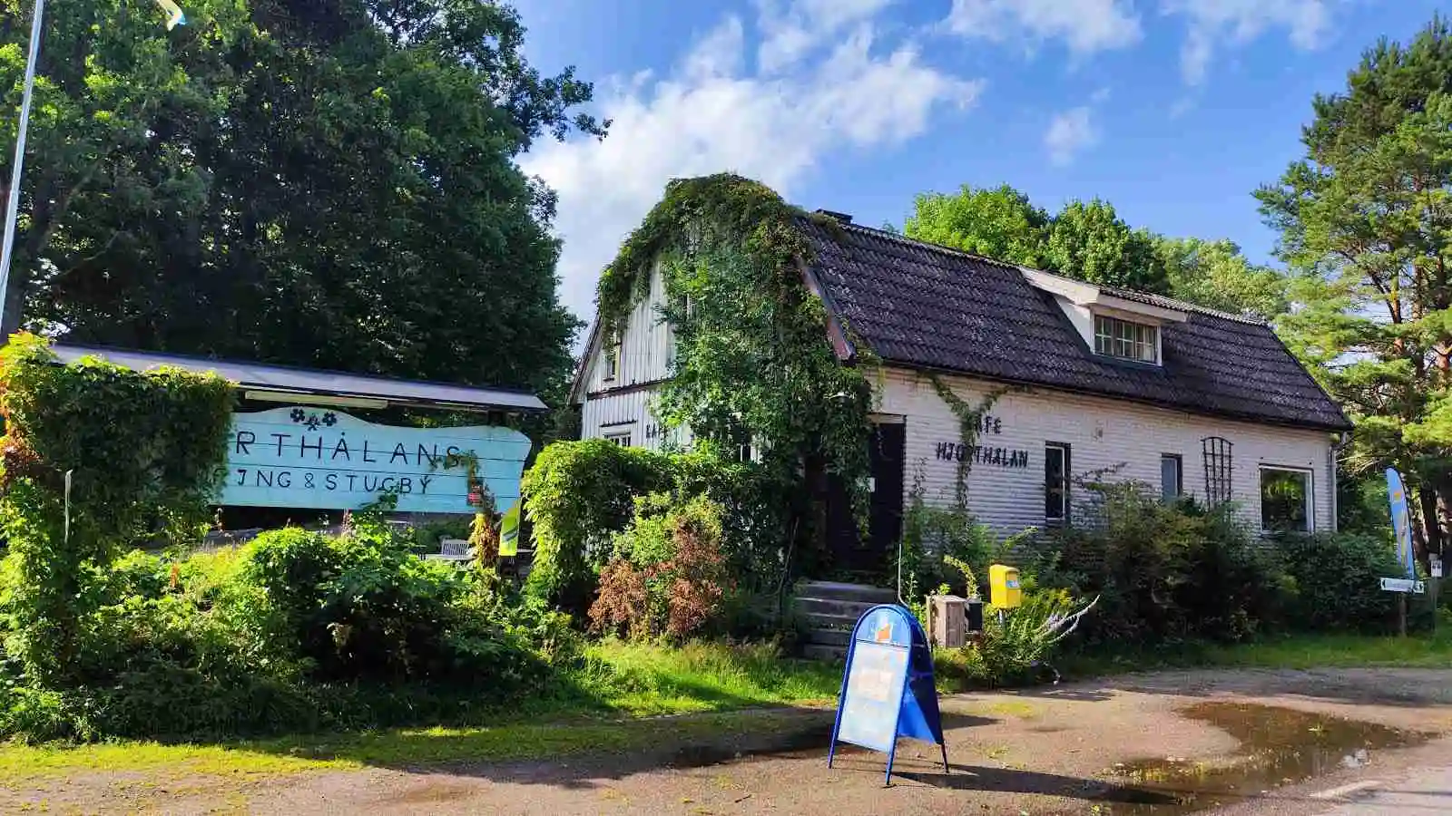 En stuga omgiven av buskar på Hjorthalan Camping.
