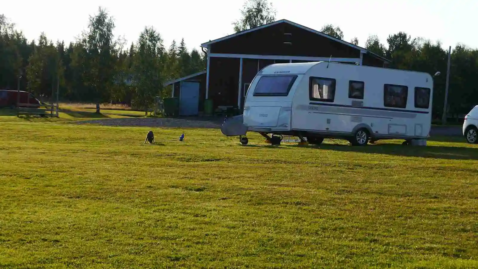 En husvagn och bilar står parkerade på en grön gräsmatta vid Emils Fiskecamp, med öppna ytor och en känsla av campingliv.