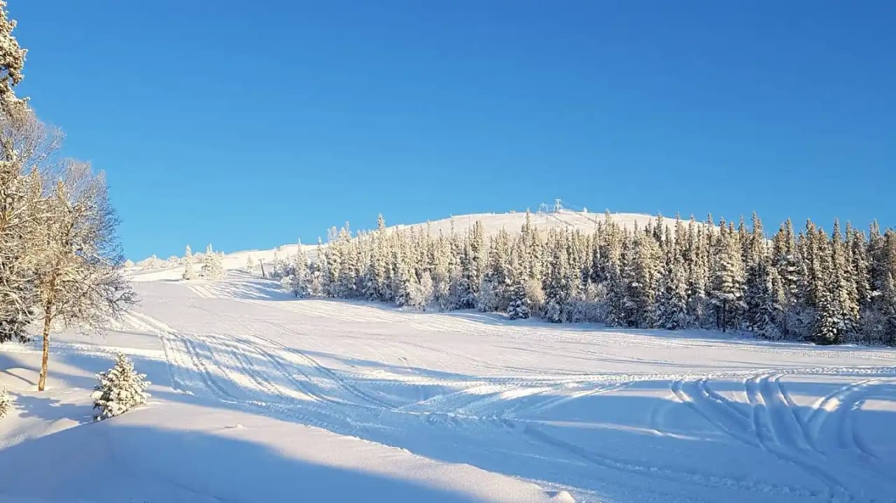 Idre Fjäll Camping: En oas av äventyr och avkoppling, året runt, mitt i Dalarnas natursköna vildmark. Upptäck äkta frihet!