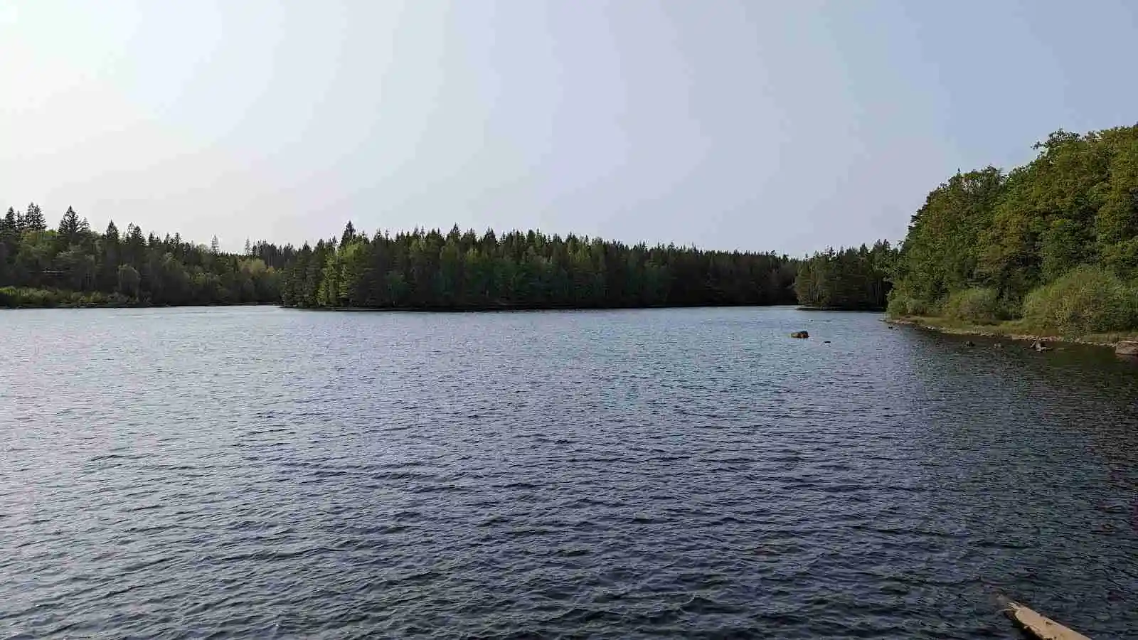 En lugn sjö omgiven av tät skog, med en smal vattenväg som leder bortåt vid kanten av en campingplats.
