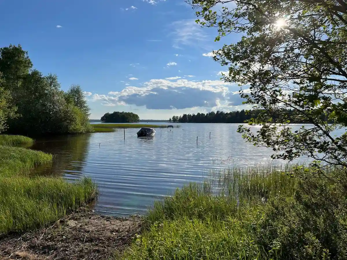 Vy över E4:ans camping som visar en naturskön miljö med blått vatten och grönt landskap, omgiven av växter och naturligt vattenflöde.