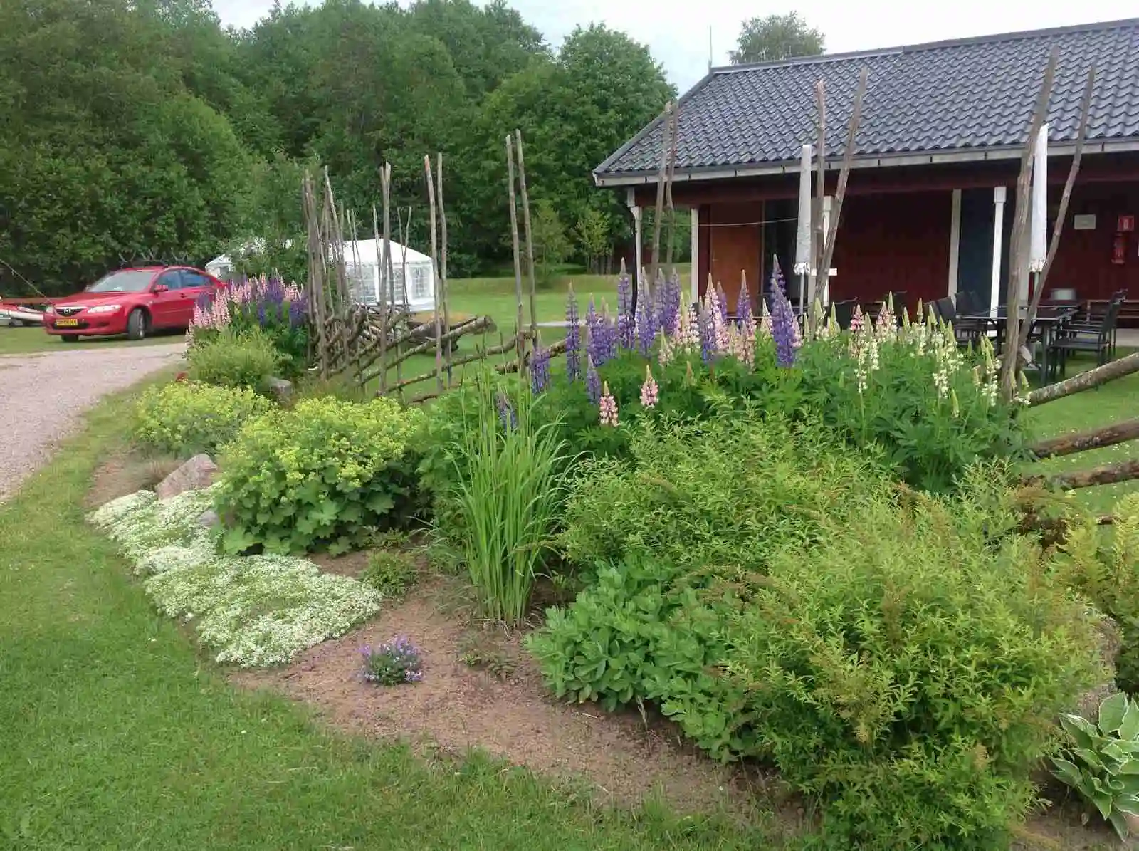 En mysig campingplats vid Alevi med grönskande trädgård som innehåller buskar, gräs och stugor.