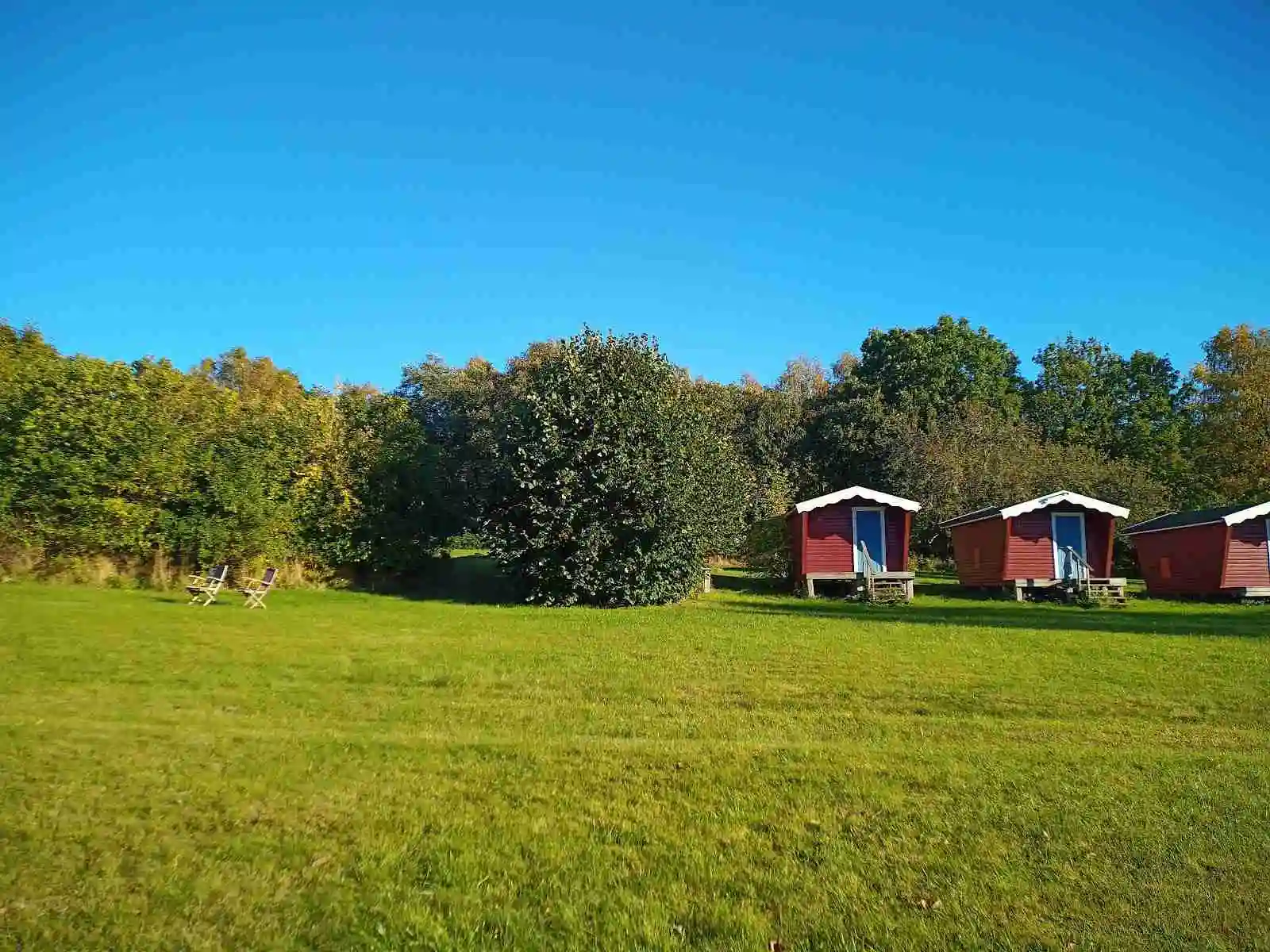 En solig sommardag på Tanums camping och stugby, med gröna gräsmattor och öppna ytor omgivna av träd som skapar skugga.