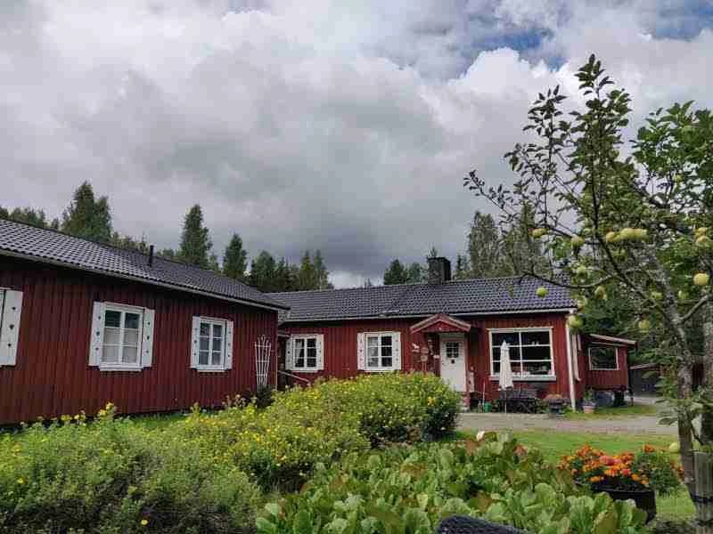 Nya Skogsgården Camping: Upplev äventyrlig lugn i Finnskogen, med naturens magi vid Rottnans flod. Boka din plats idag!