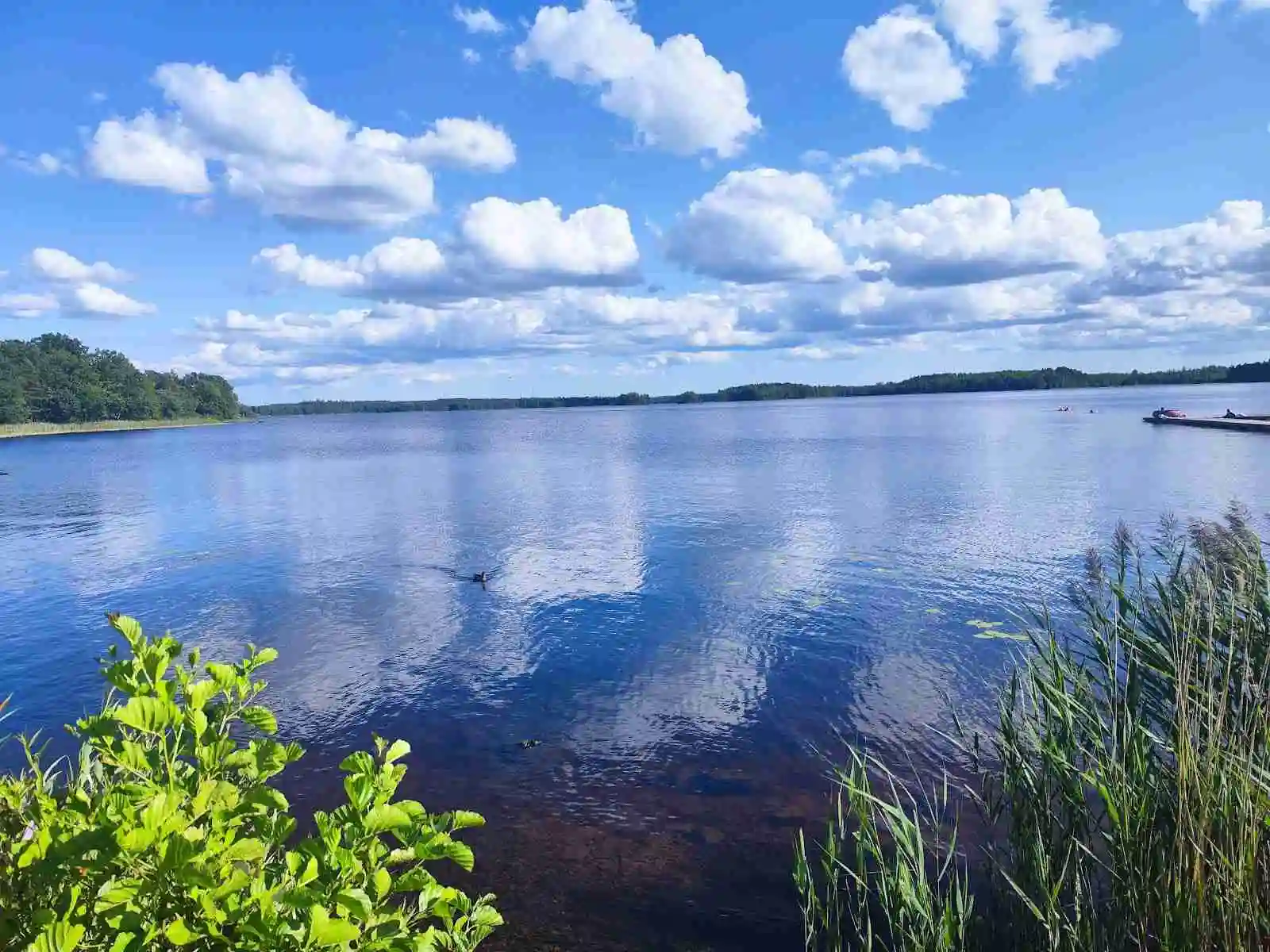 En klarblå himmel med moln reflekteras i det stilla vattnet vid Tingsryd Resort, där floden rinner längs den gröna stranden.