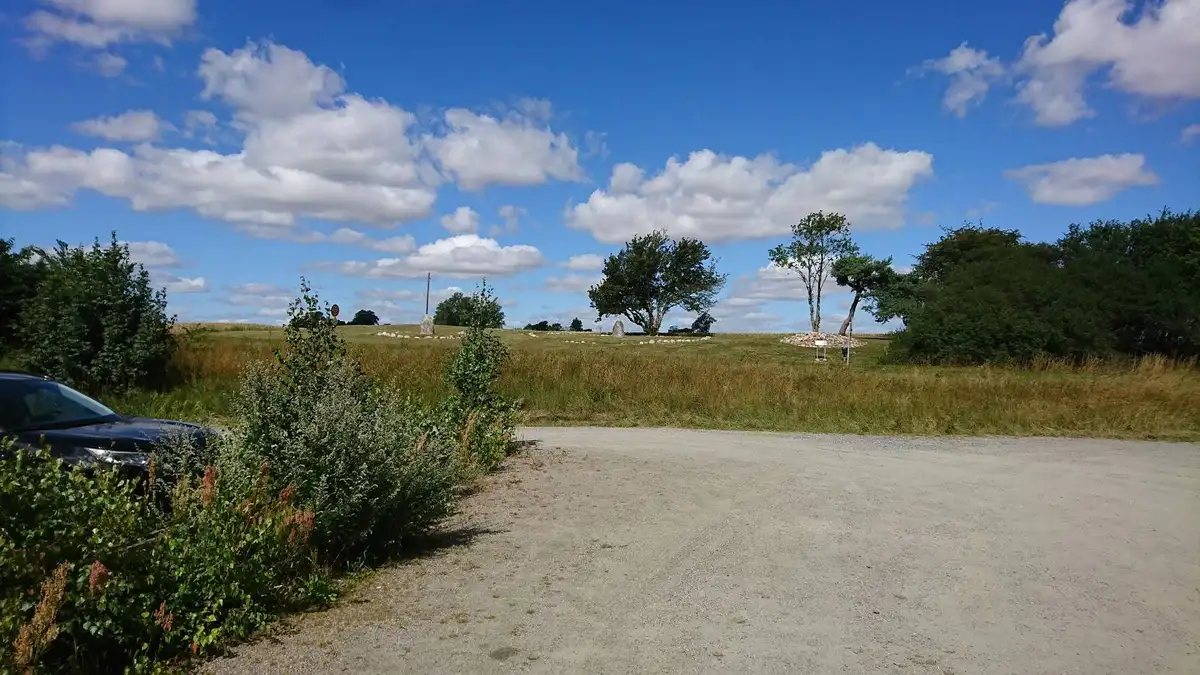 En grönskande campingplats vid Borrbystrand med vidsträckt gräsmatta, buskar och molnig himmel i bakgrunden. En väg löper genom landskapet.