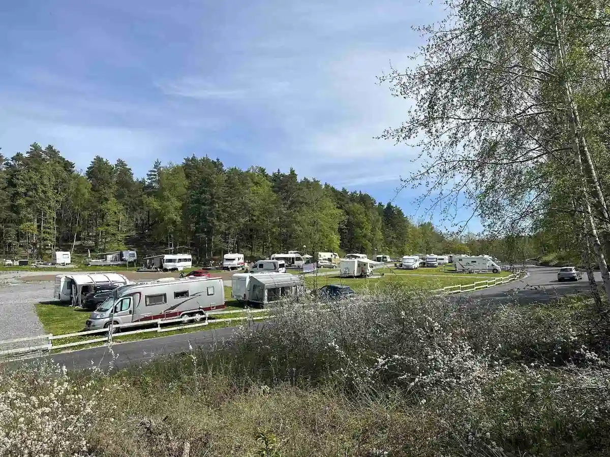 En rad husbilar och husvagnar parkerade på Waxholms camping, omgivet av grönska och en klar himmel.