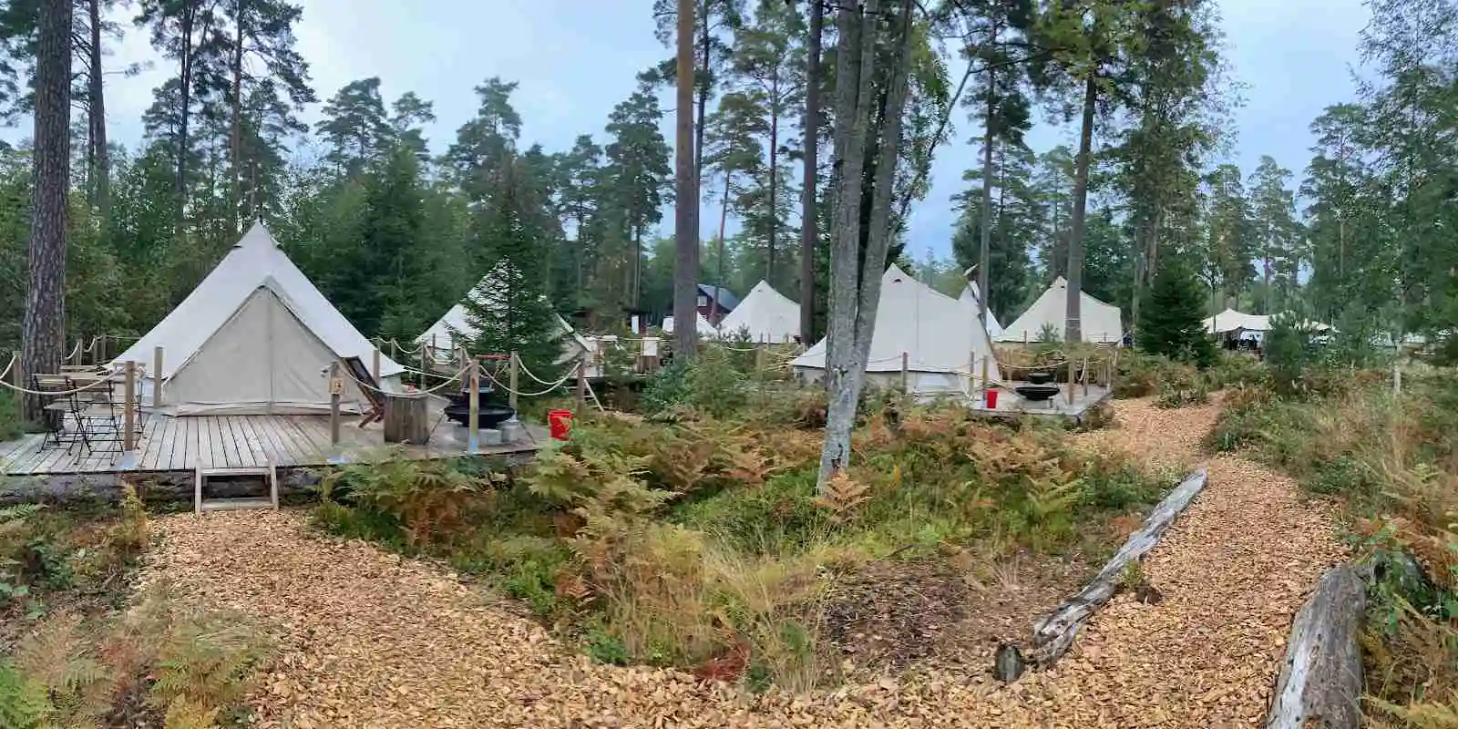 Norraryds camping: Upplev Smålands skogar och Åsnens sjöar i total ro och äventyr för hjärta och sinne. Välkommen!