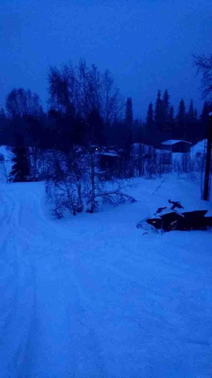 En vinterlandskap med snötäckta sluttningar och barrträd vid Åkersjön Sportcamping. Det är kväll och platsen är täckt av is och snö, omgiven av vinterväxter under en dämpad himmel.