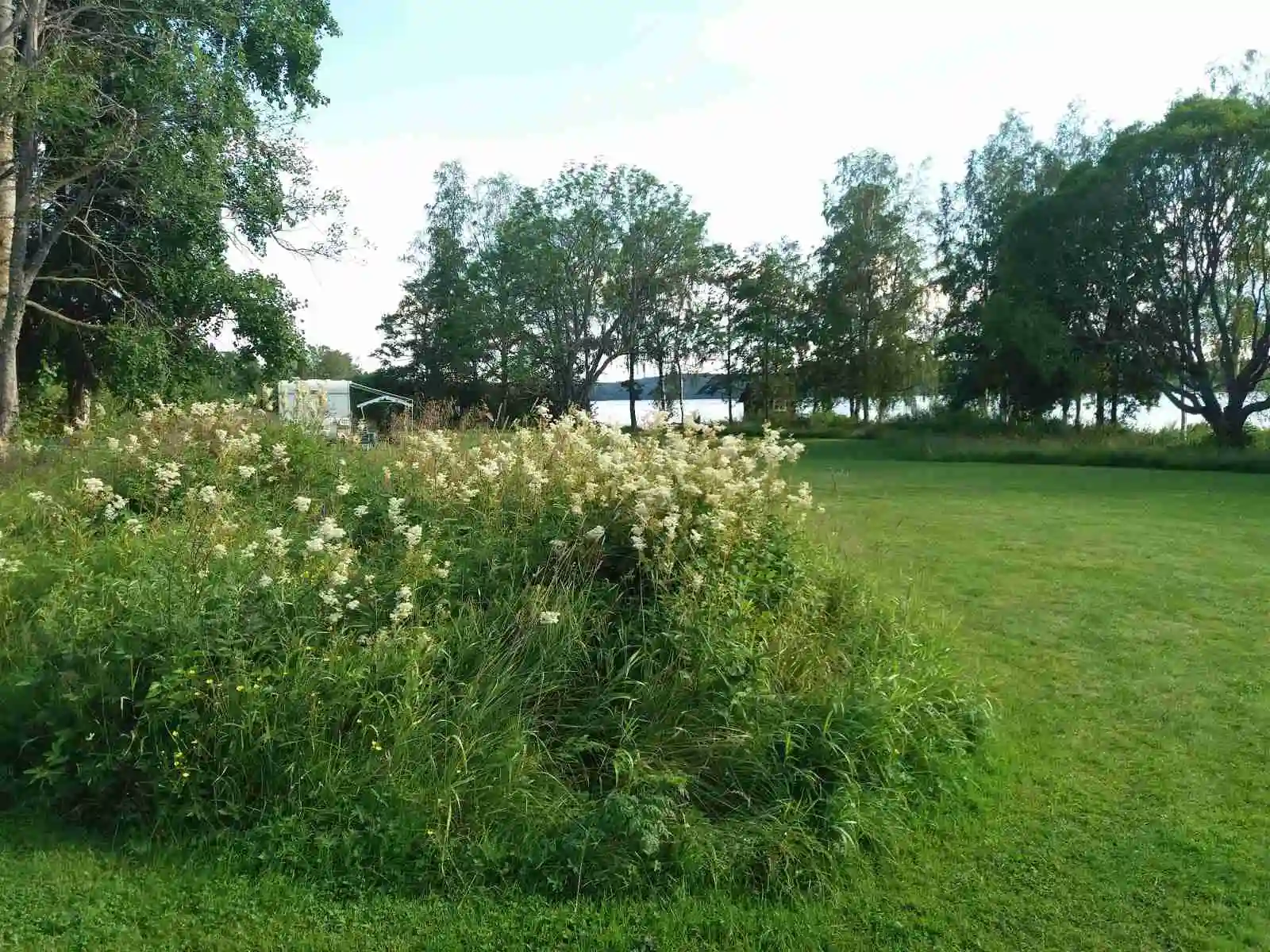 Vy över Vreten kursgårds lummiga trädgård med buskar, prärieväxter och blommande ängsmark i vårsol.