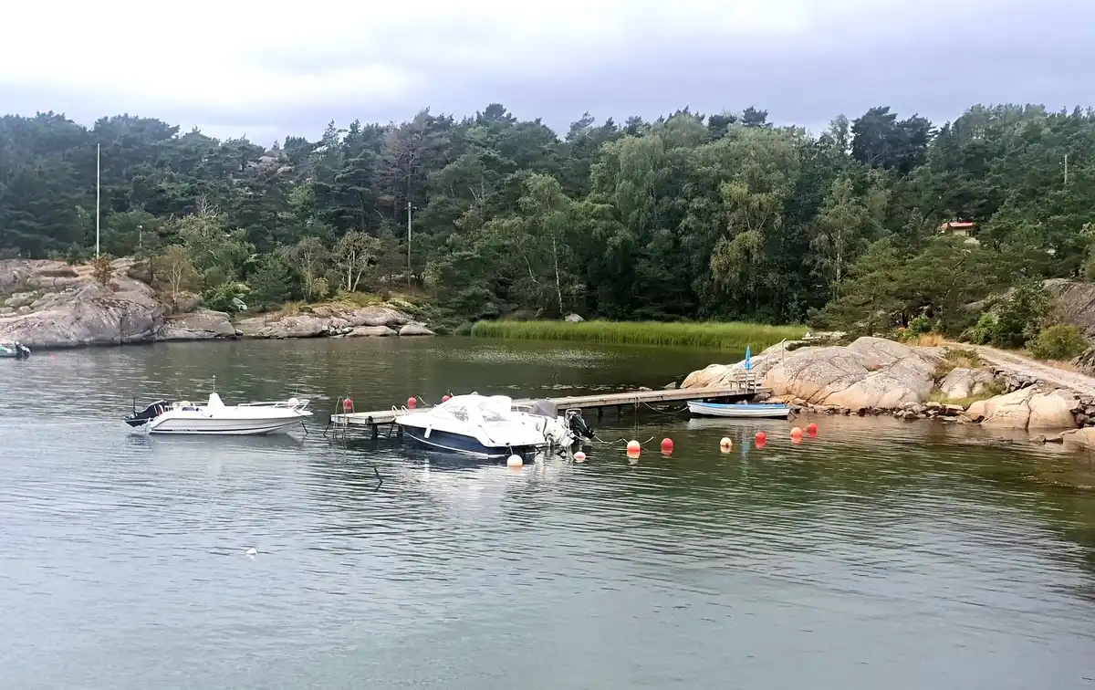 En motorbåt ligger förankrad vid en lugn sjö vid Löfgrens camping, omgiven av frodig grönska och en pittoresk kustlinje som sträcker sig längs vattnet.