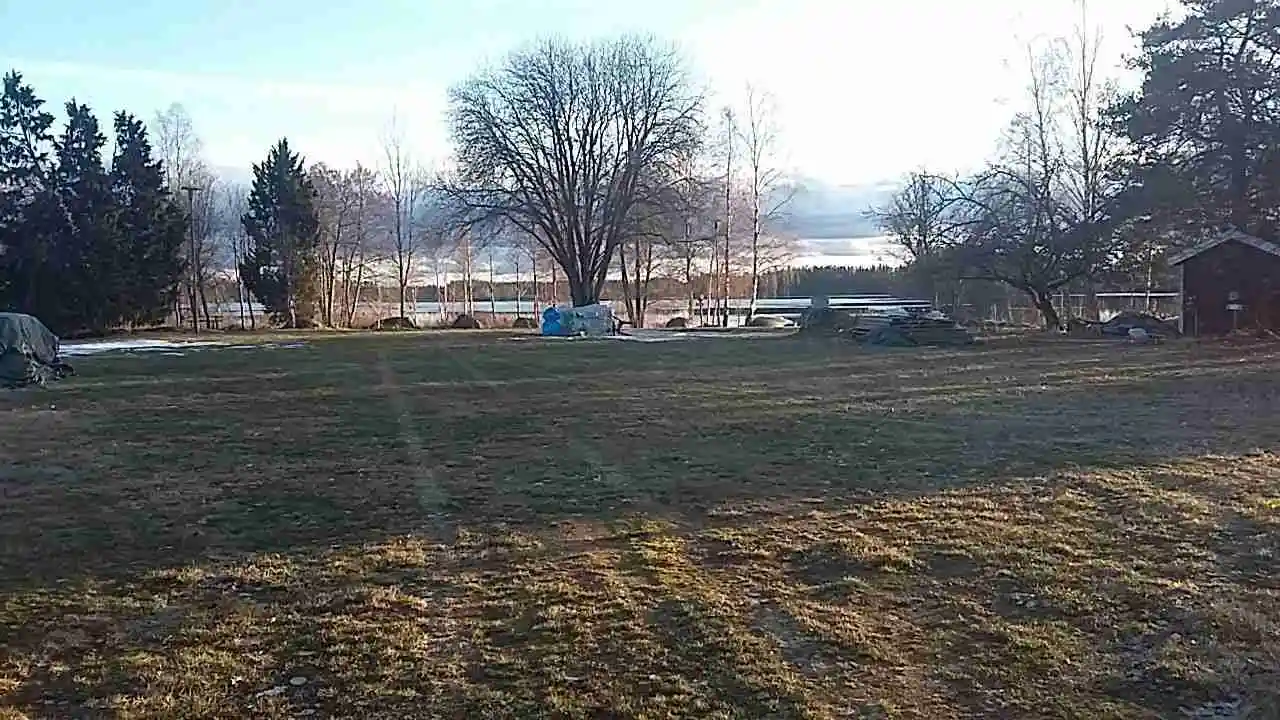 En grönskande campingplats med träd, gräs och öppna ytor, som badar i morgonljus.