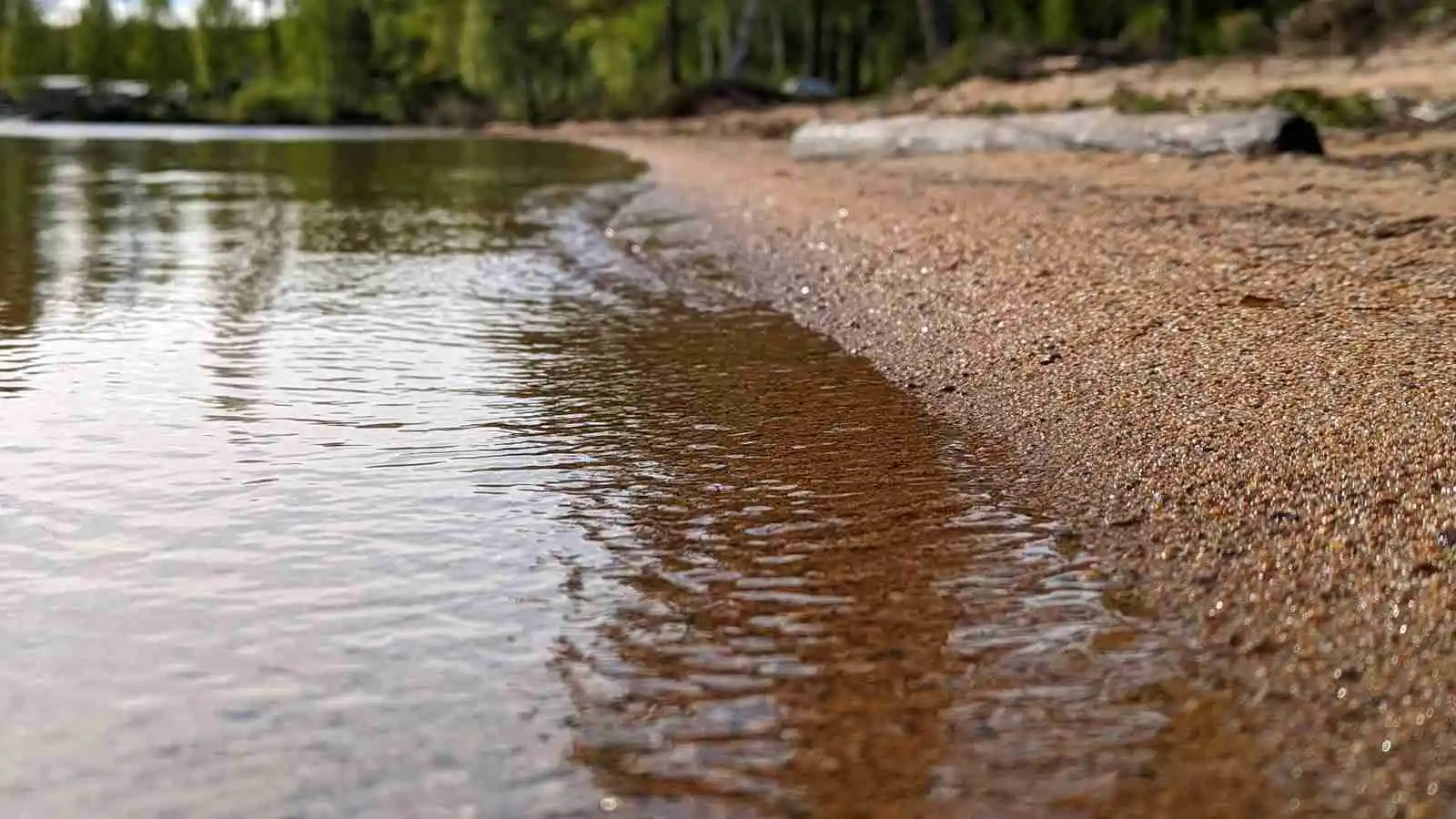 En naturskön sjö med klart vatten omgiven av grönskande träd, en fridfull kustlinje och en liten strand i förgrunden vid Treens Natur & Fiskecamp.