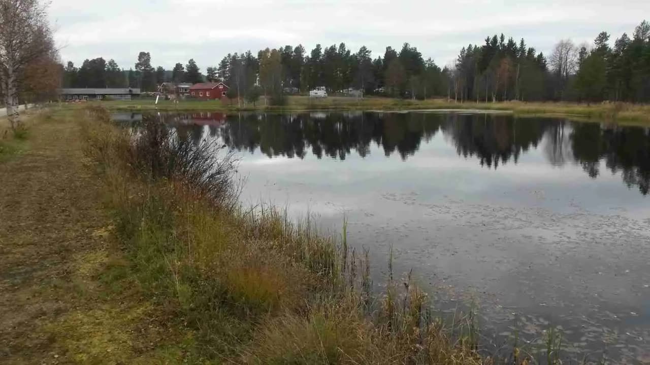 En lugn flod omgiven av träd vid Vemdalens camping, där vattenytan speglar det gröna landskapet.