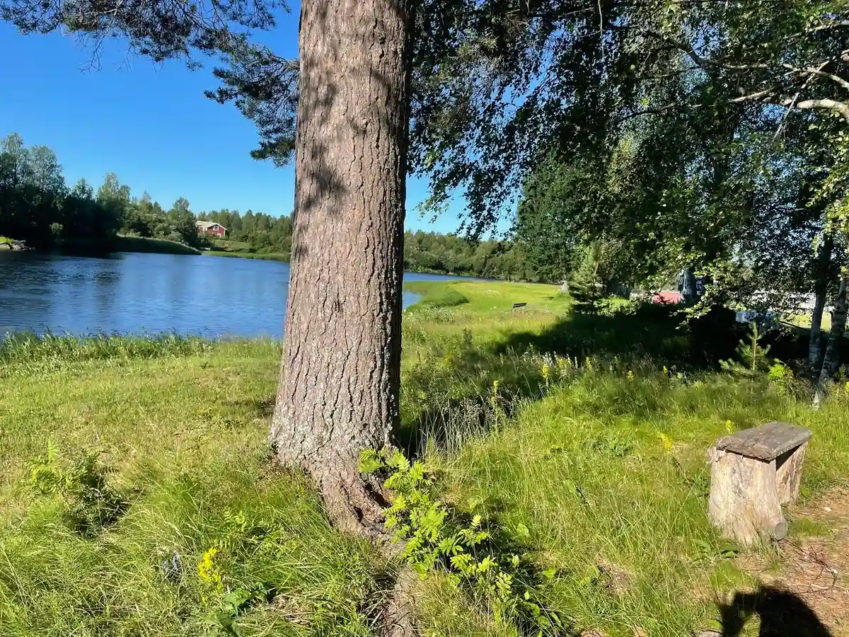 En grön och lummig campingplats vid vattnet med gräsbeklädda ytor och träd i bakgrunden, som ger en inbjudande känsla av natur och lugn vid Fällfors camping.