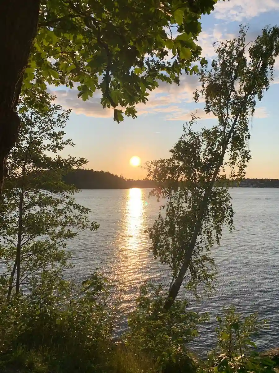 En solig dag vid vattnet på Klubbensborg med frodig vegetation och grenar som sträcker sig ut över den glittrande vattenytan.
