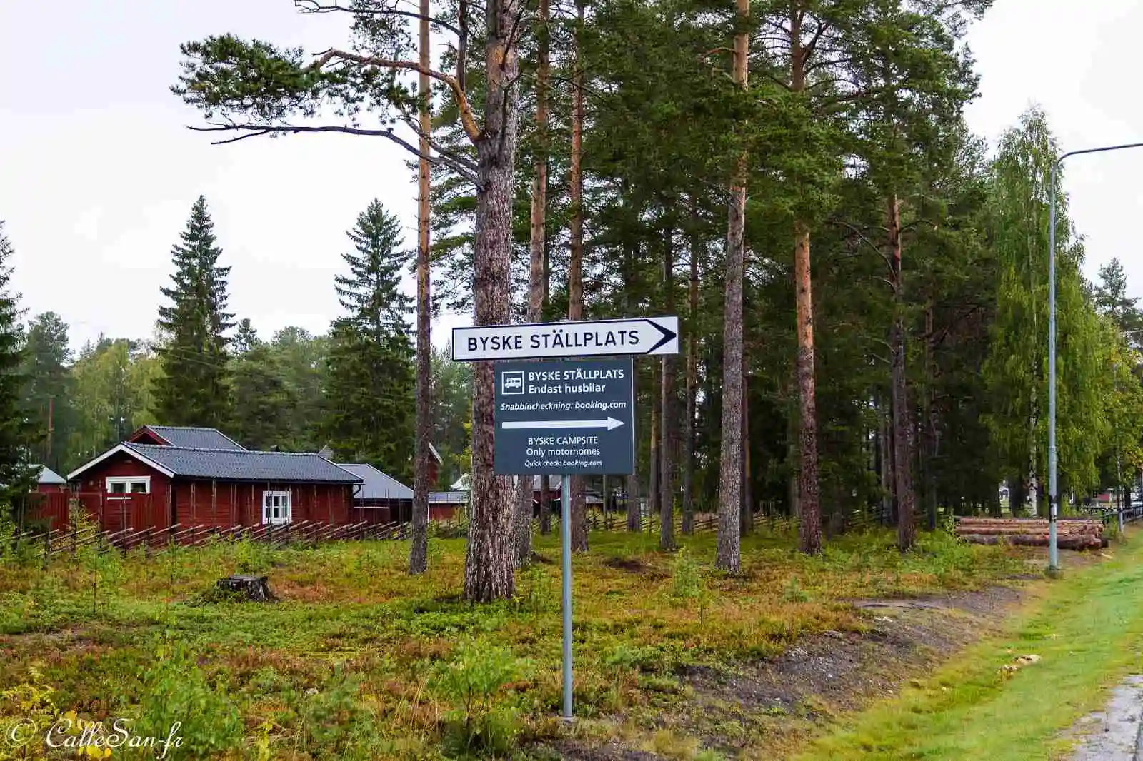 Bild av Skellefteå camping med en frodig skogsmiljö; höga, täta träd och gröna lövverk skapar en lummig atmosfär.