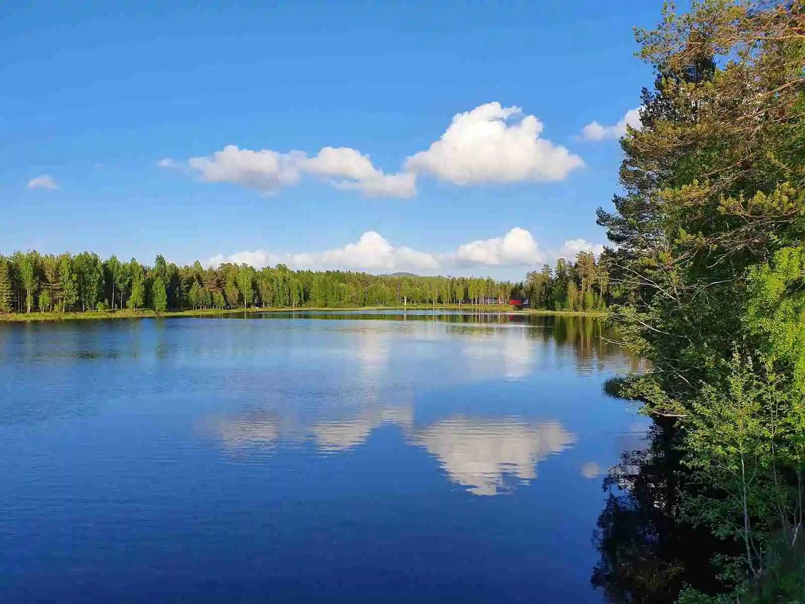 En fridfull campingplats vid en sjö med blå himmel och frodig grönska.