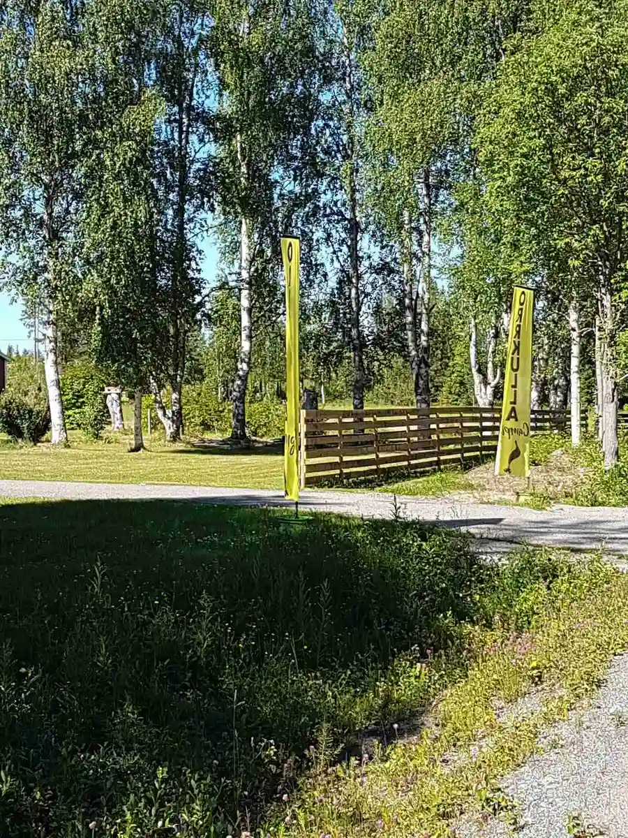 En grön campingplats med gräsytor och skuggande träd. Ett öppet område som inbjuder till avslappning och vandring, omgiven av frodig natur.