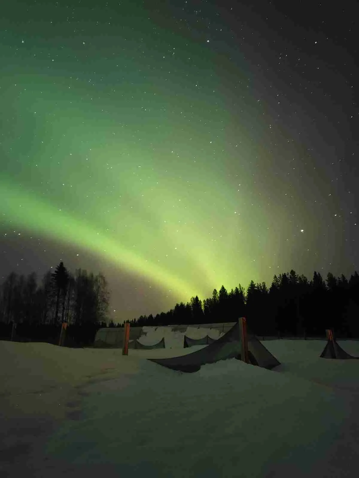 En vacker vinterkväll vid Camp Route 45, där norrskenet dansar över himlen. En tältplats är täckt av snö under den stjärnklara natten, med kylan och midnattens skönhet i fokus.