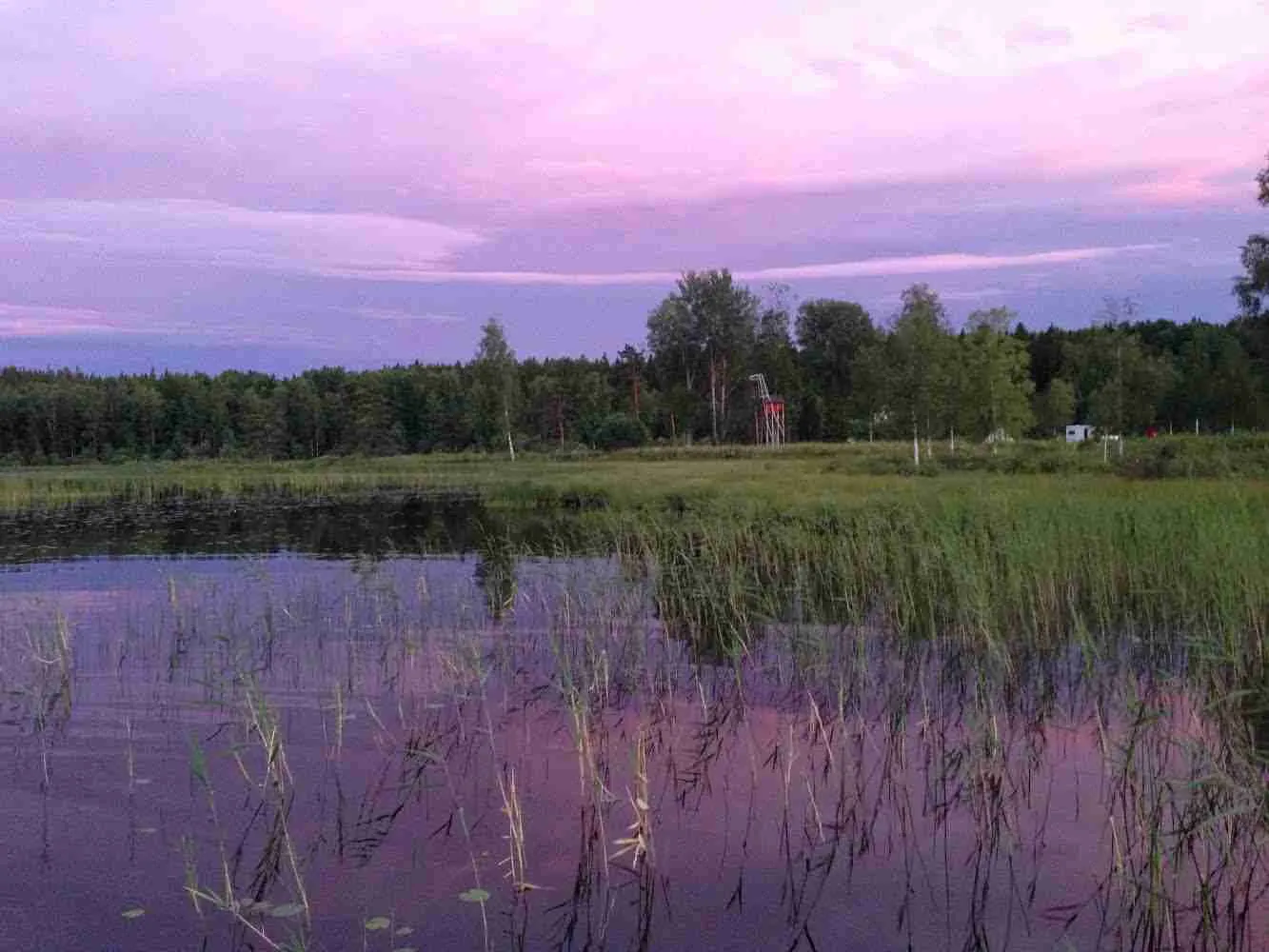 En naturskön vy över Sörälgens camping med ett våtlands område i förgrunden som speglar himlens skymningsmoln.