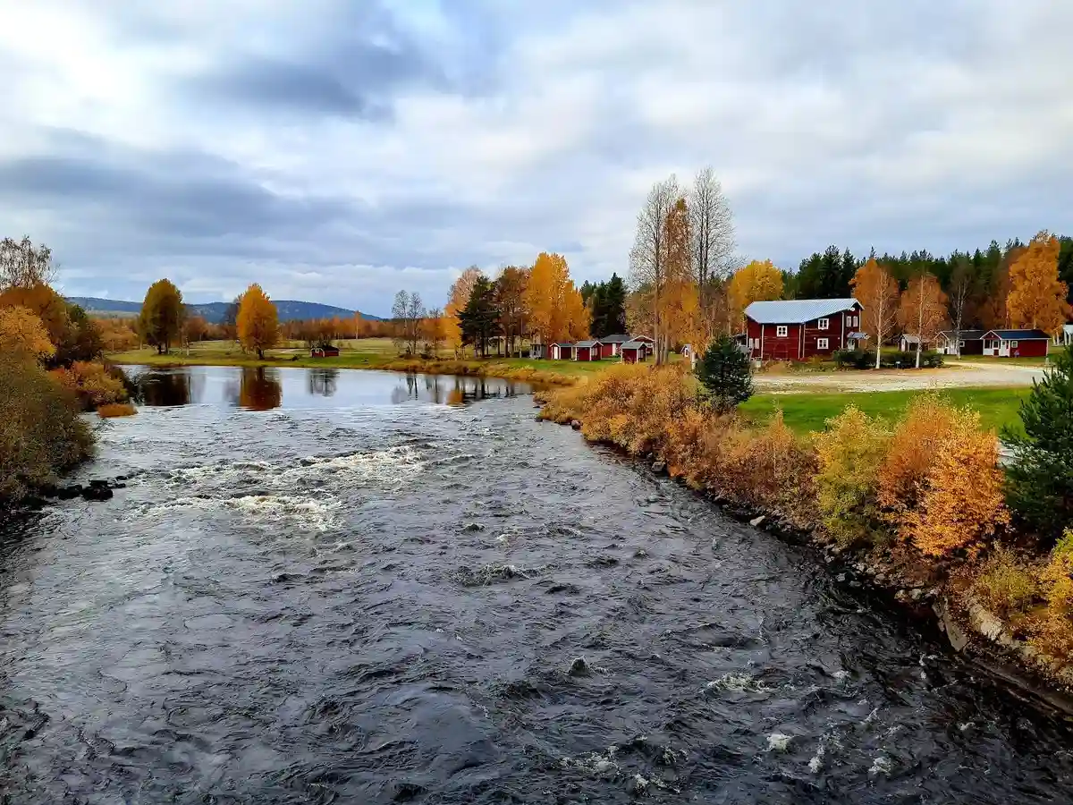 En fridfull åkorsning genom en frodig grönskande landskap vid Fällfors camping, där vattnet slingrar sig lugnt mellan trädens skuggor och det naturliga landskapet.