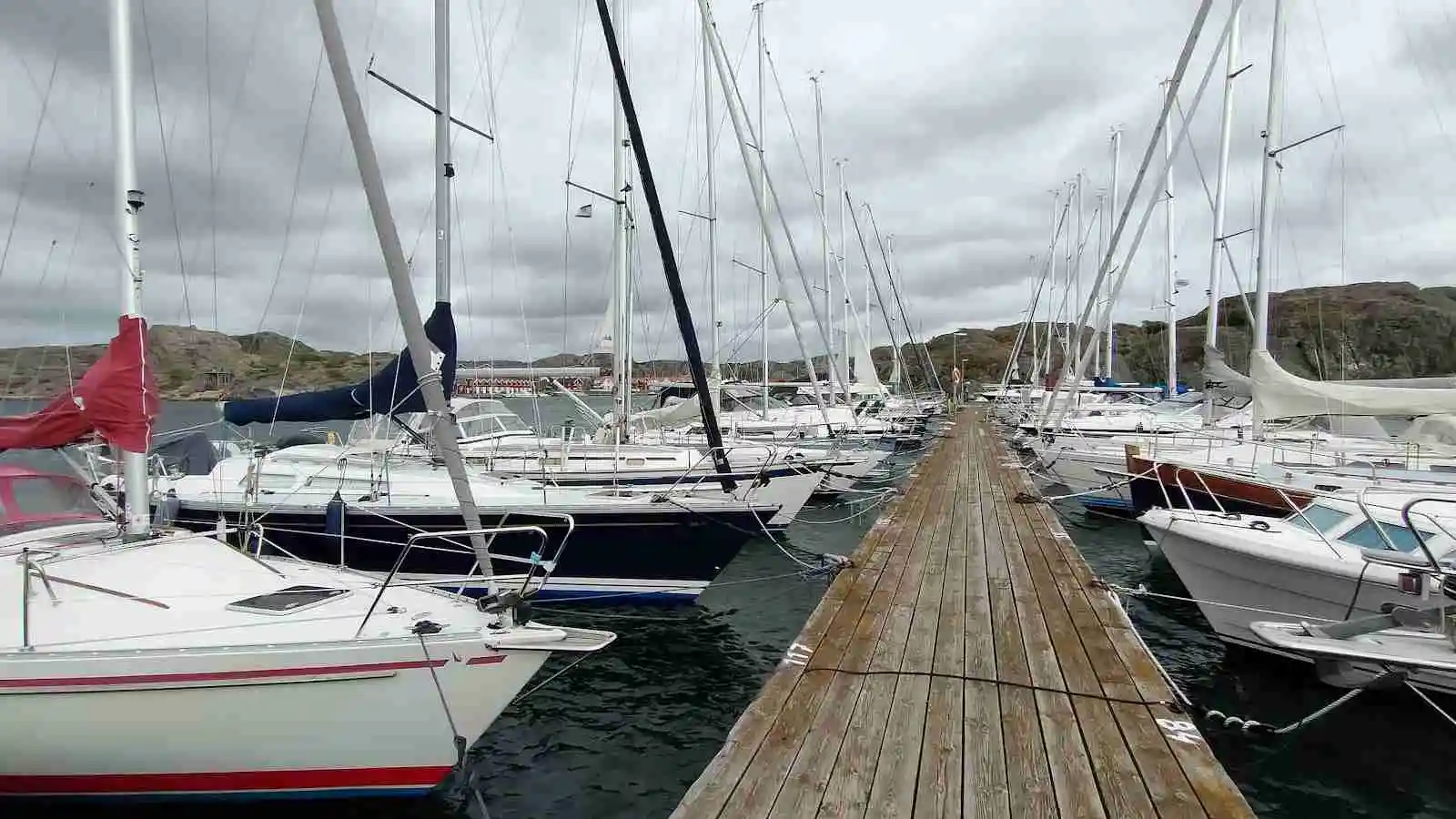 En småbåtshamn med flera segelbåtar förtöjda vid bryggorna. Båtarna har höga master och vattnet är stilla. I bakgrunden syns byggnader och gröna ytor.