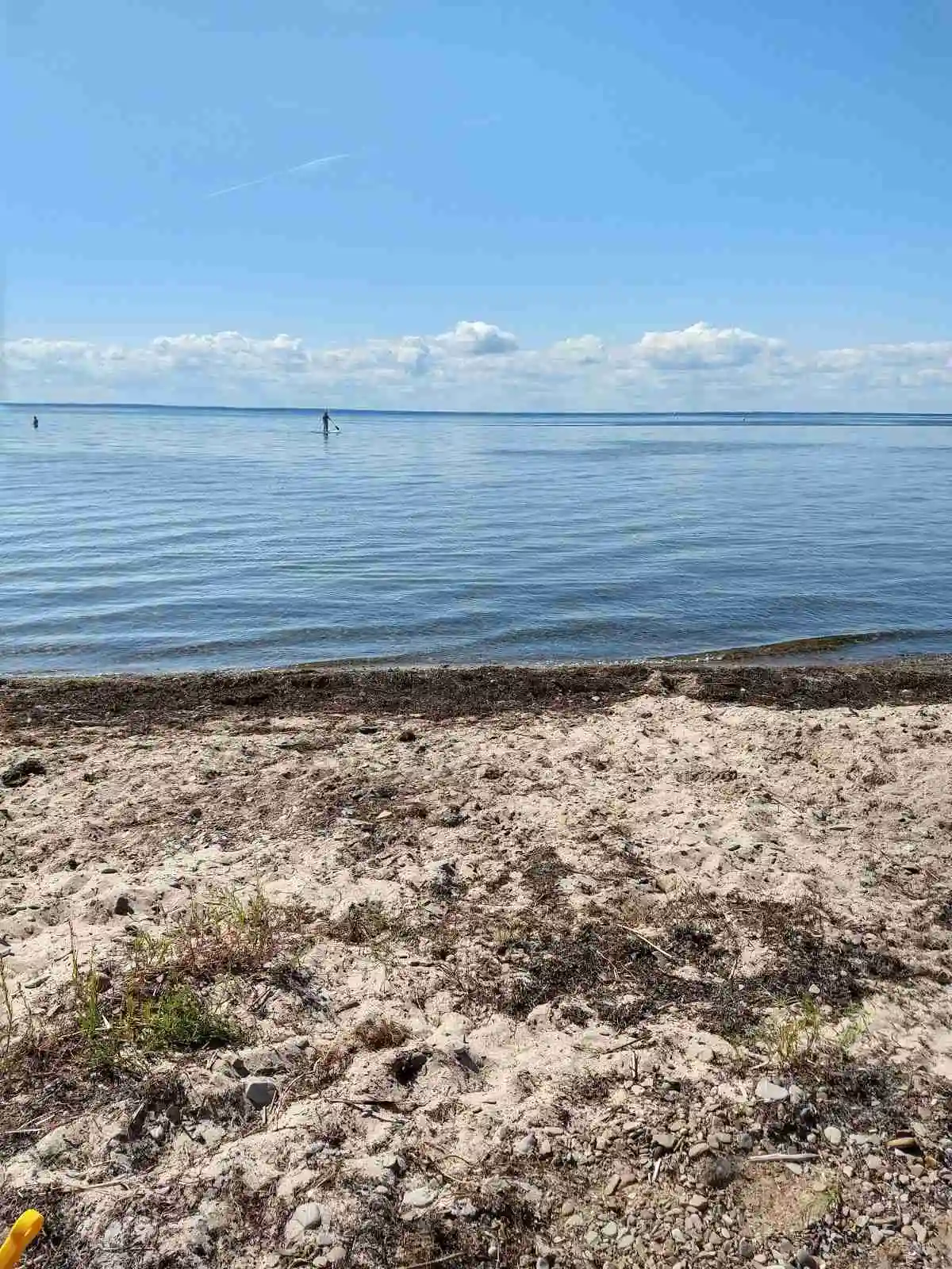 Vy över en strand vid Haga Park Camping & Stugor med en blå himmel och några moln. Havet sträcker sig mot horisonten och kusten omges av sand och vatten.
