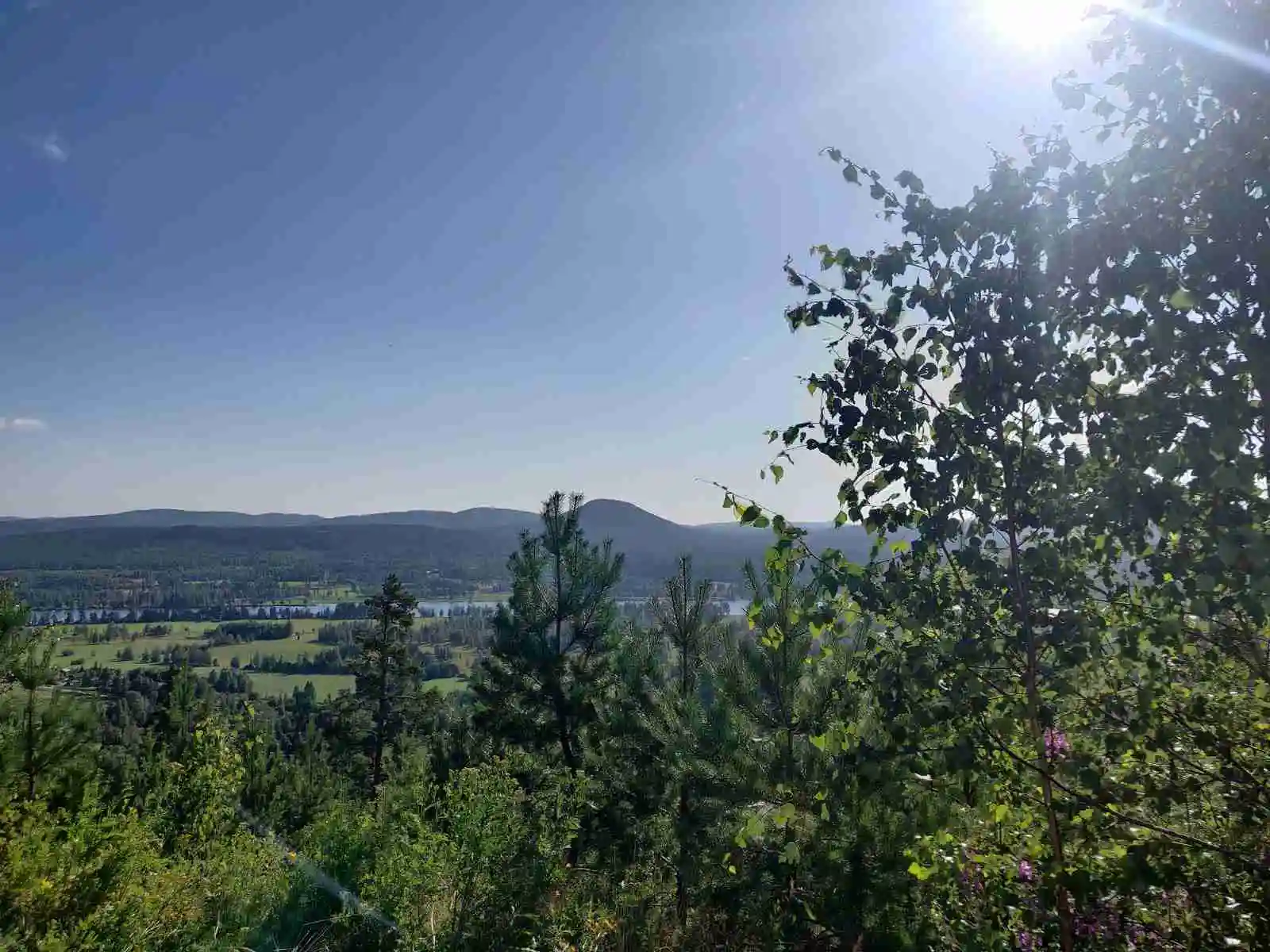 Utsikt över Järvsö Bergscamping med grönskande skog och berg i bakgrunden under en klarblå himmel.
